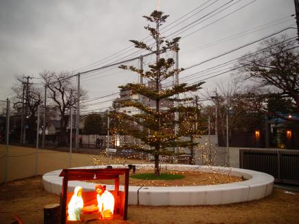 八幡キャンパス校門近くにツリーと馬小屋が灯されました。