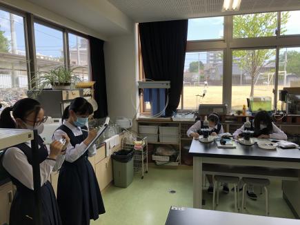 生物実験室にはいろんな実験器具があって教室とは全然違います。