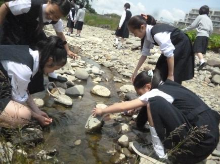 教室の窓から見える広瀬川、なにが住んでいるのでしょう？