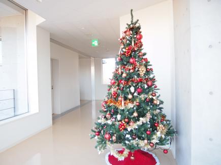 校内の何箇所かに、クリスマスツリー。こちらは２Ｆの赤バージョ