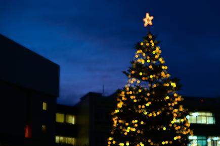 今年も綺麗にツリーが飾られました