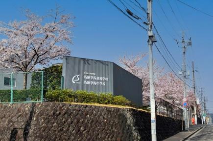 満開となった桜